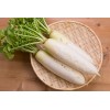 白萝卜1条