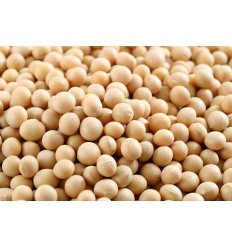黄豆600g